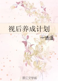 视后养成计划